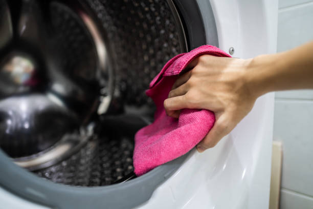 Itasca, TX Mold Removal Company
