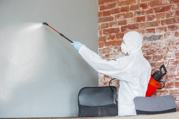 Best Water Damage & Mold Remediation  in Itasca, TX