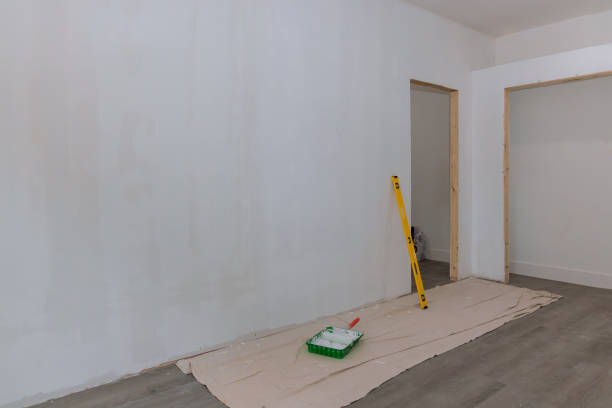 Best Biohazard Mold Removal  in Itasca, TX